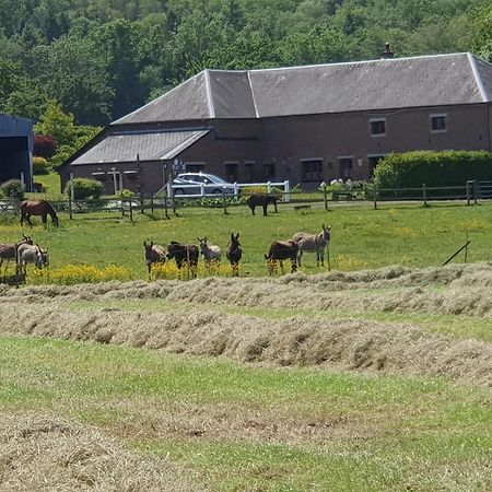Bed and Breakfast Les Mout'Anes Saint-Hilaire-sur-Helpe Exterior foto