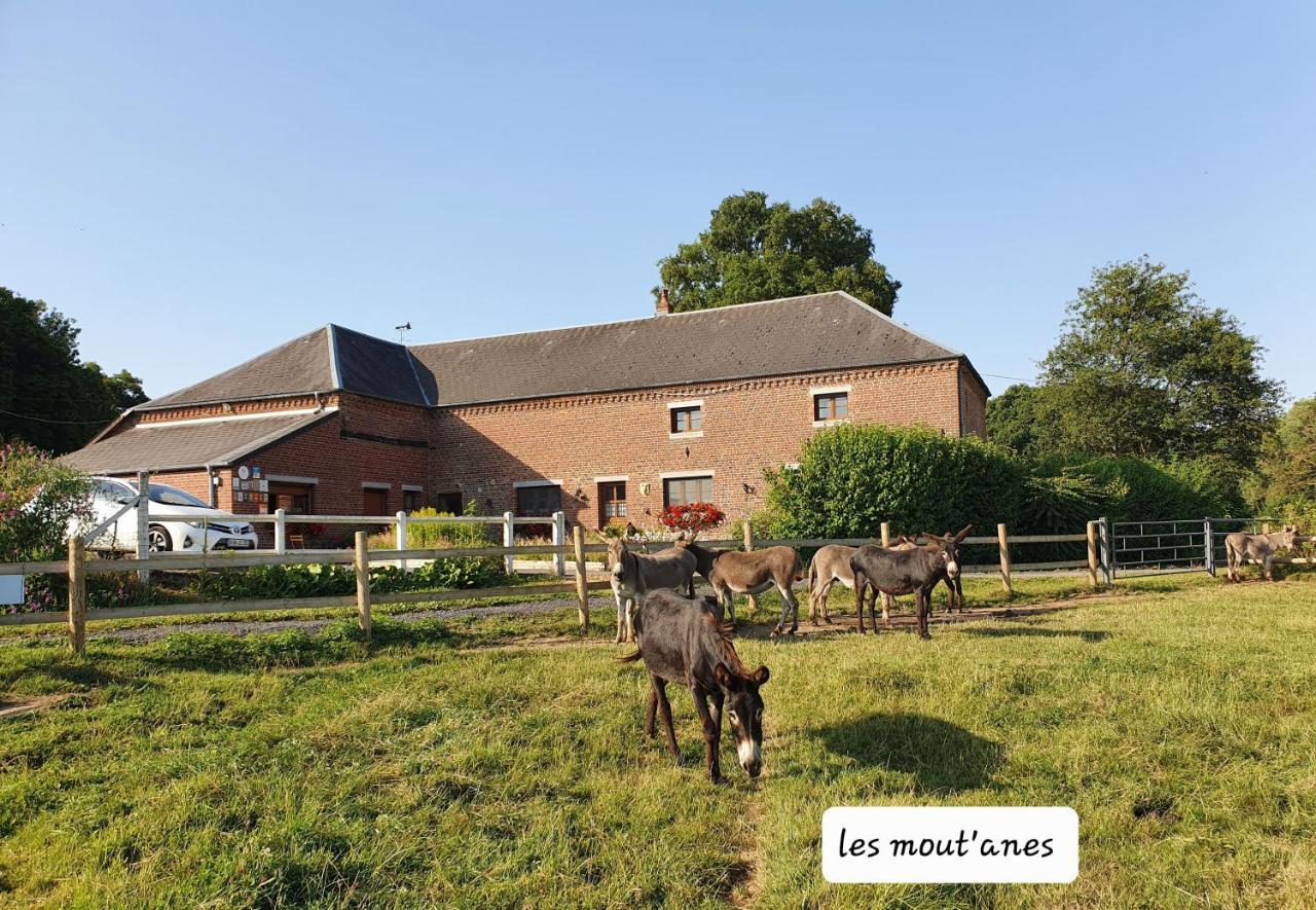 Bed and Breakfast Les Mout'Anes Saint-Hilaire-sur-Helpe Exterior foto
