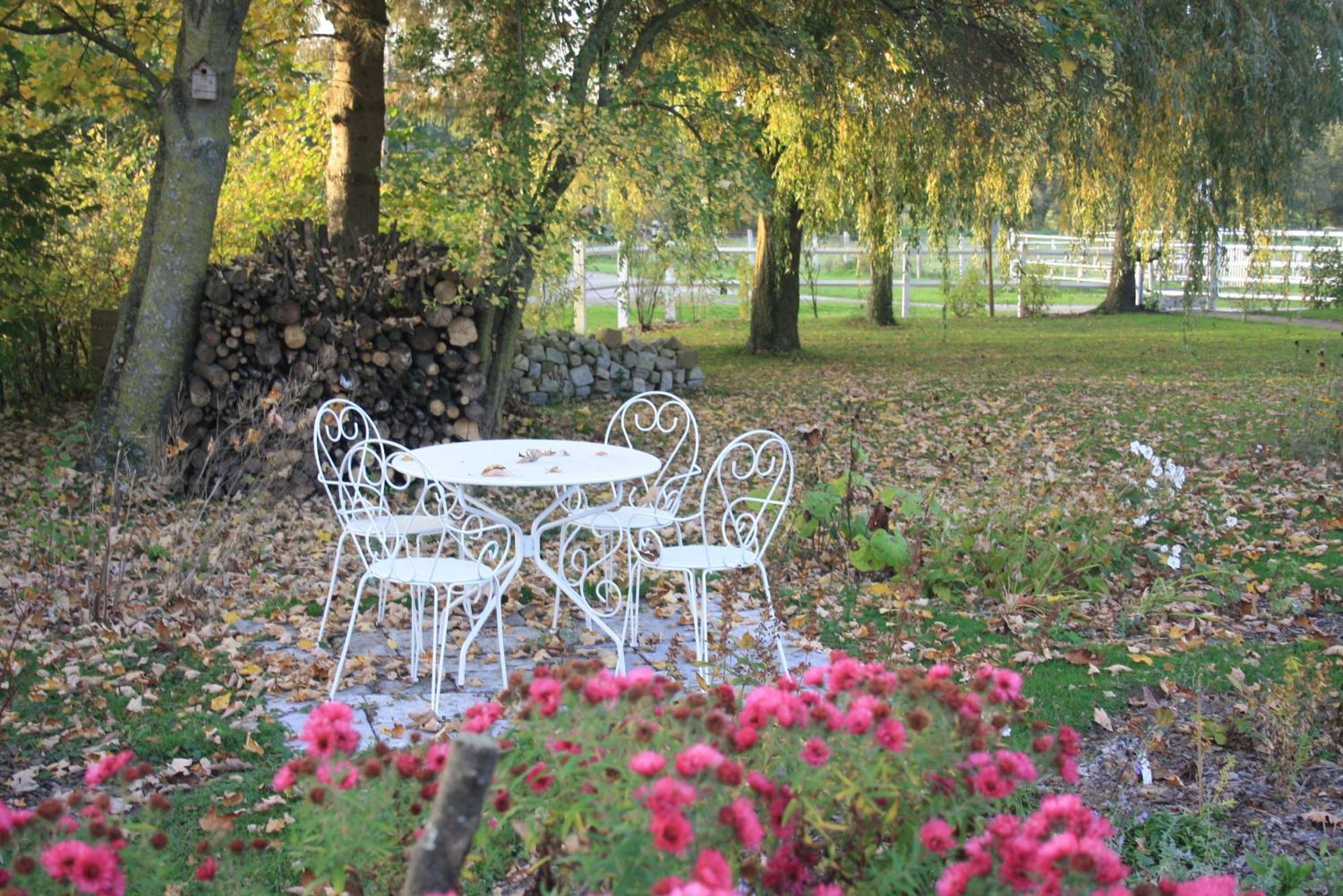 Bed and Breakfast Les Mout'Anes Saint-Hilaire-sur-Helpe Exterior foto