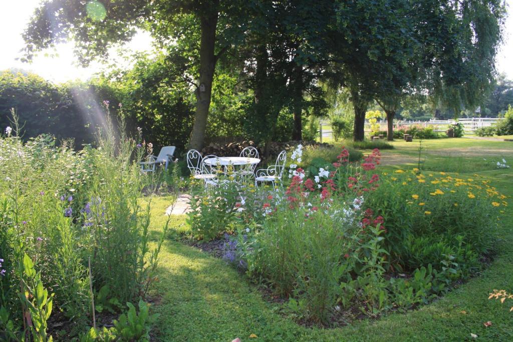 Bed and Breakfast Les Mout'Anes Saint-Hilaire-sur-Helpe Exterior foto