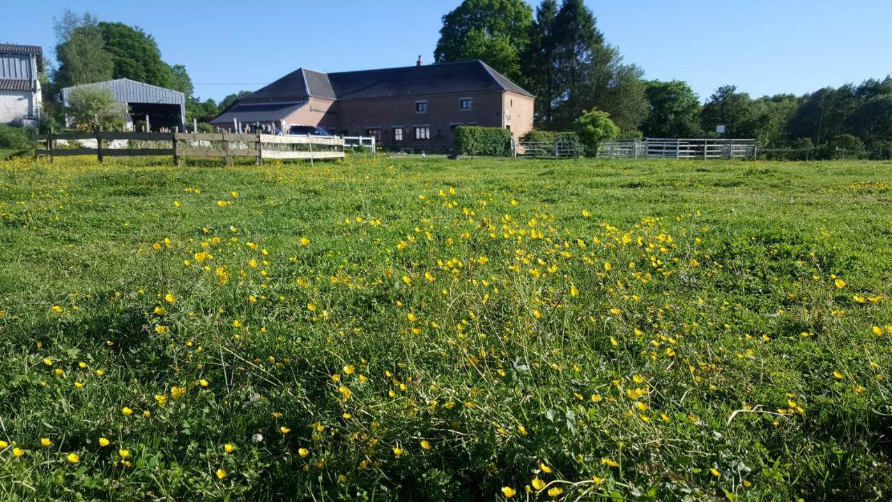 Bed and Breakfast Les Mout'Anes Saint-Hilaire-sur-Helpe Exterior foto